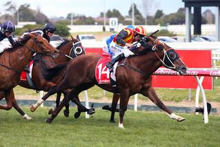 Showtime winning the Sir John Monash P.B. Lawrence Stakes.